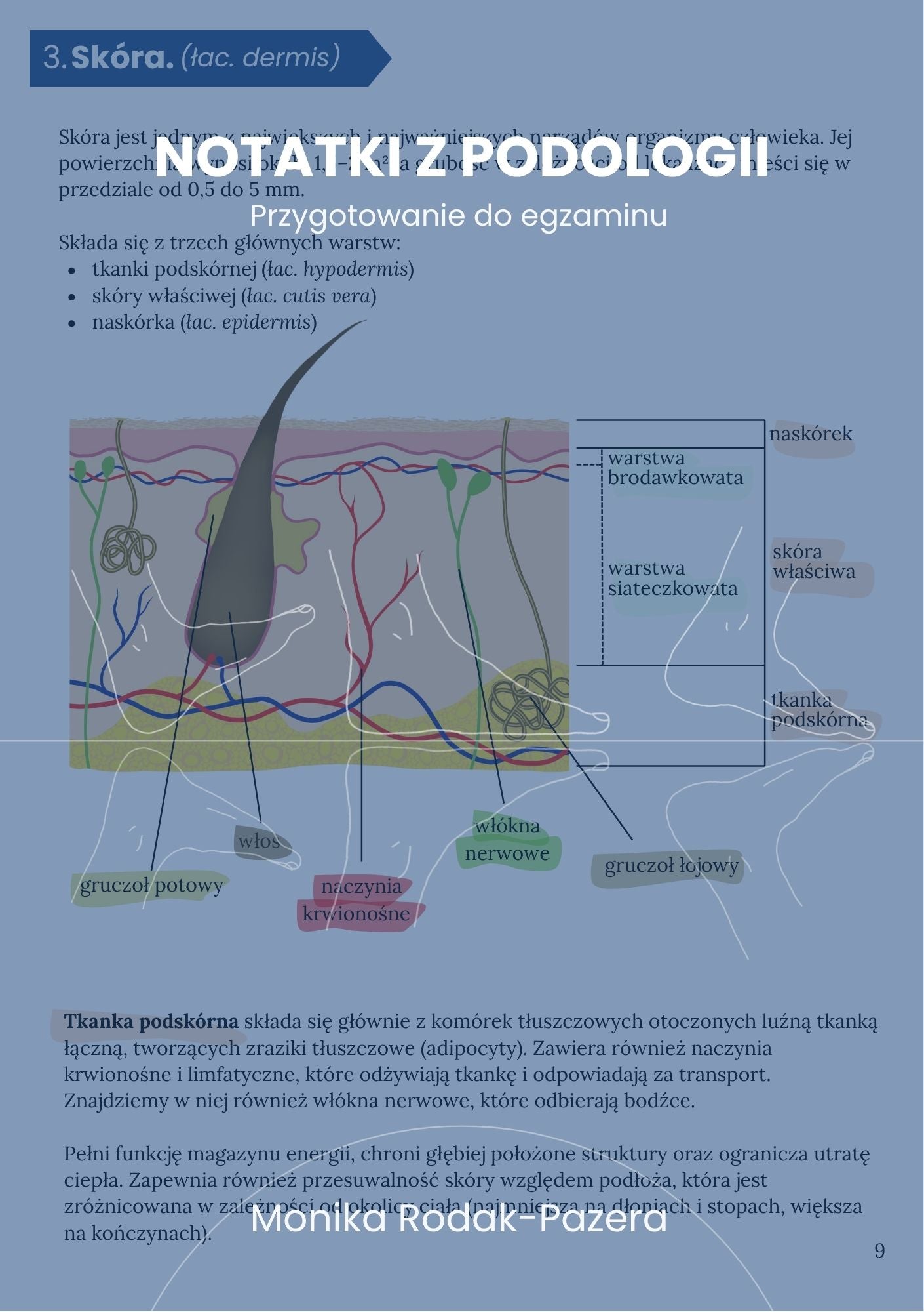 Notatki z podologii - książka w miękkiej okładce