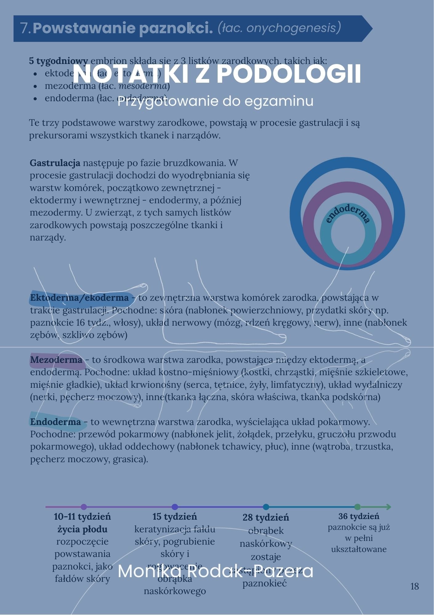 Notatki z podologii - książka w miękkiej okładce